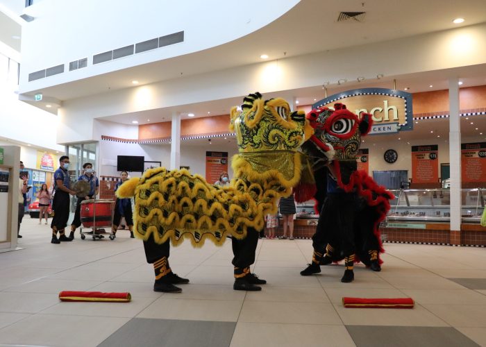 Image of 2 Lion dancers in shopping mall